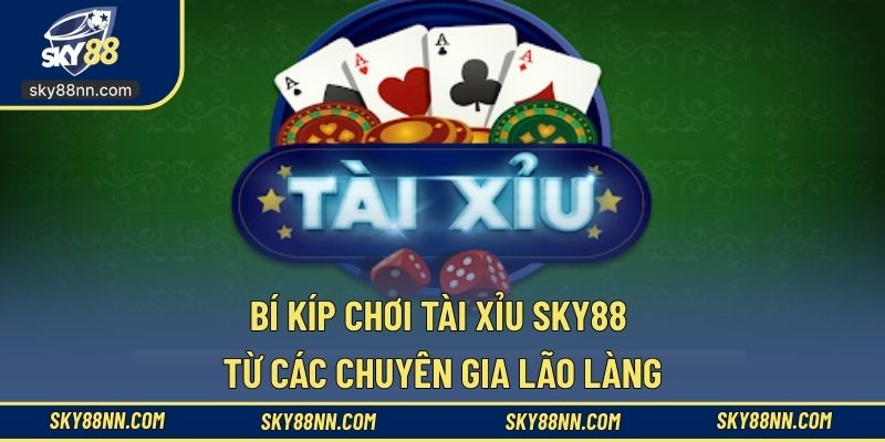Học hỏi bí kíp để soi cầu chuẩn từ đội ngũ chuyên gia