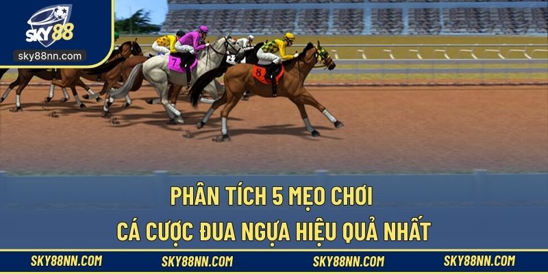 Học hỏi các mẹo để cược đua ngựa thắng đậm