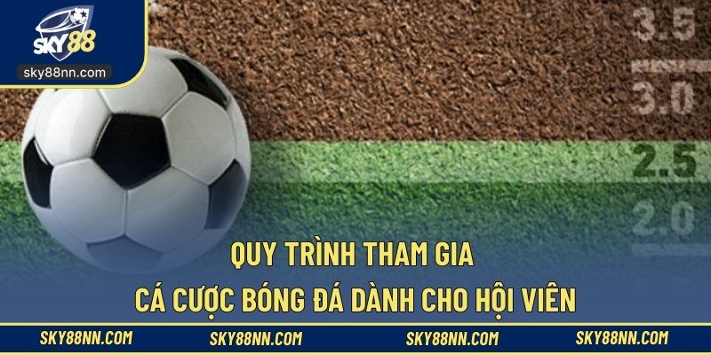 Qúa trình tham gia cá cược đá banh mới nhất