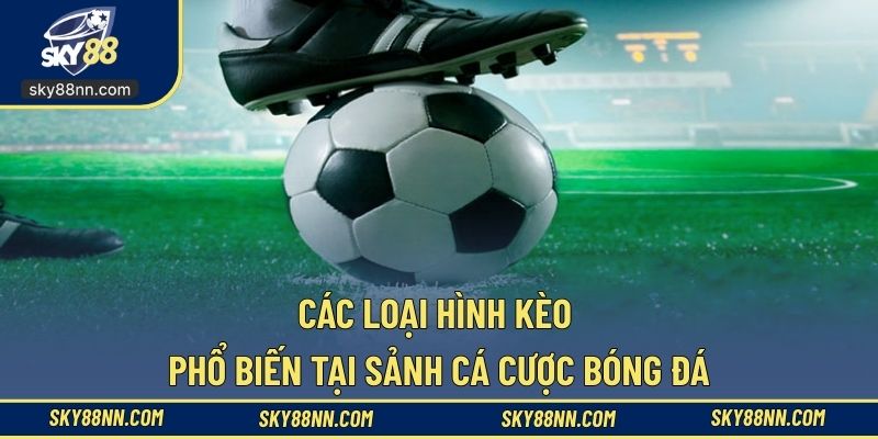 Thoải mái chọn kèo cược bóng đá phù hợp nhu cầu