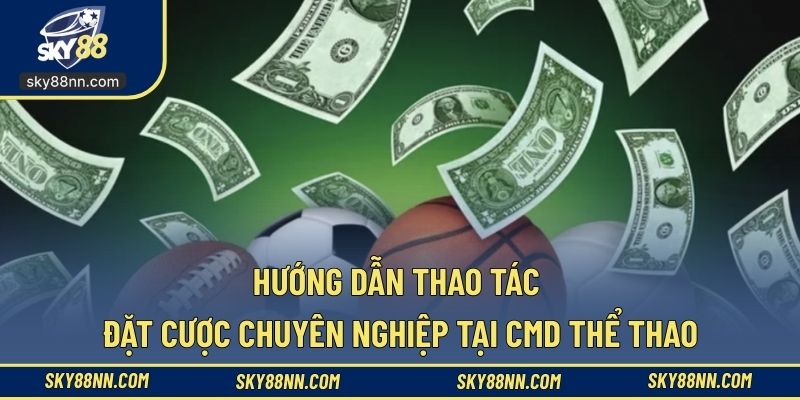 Thực hiện đúng quy trình chơi cá cược tại sảnh CMD