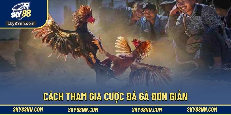Cách tham gia cược đá gà đơn giản
