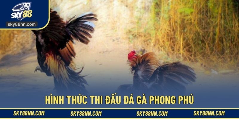 Hình thức thi đấu đá gà phong phú