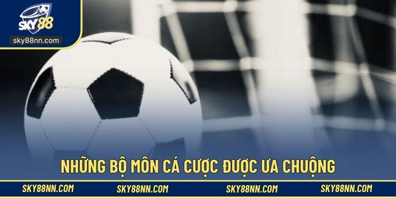 Những bộ môn cá cược được ưa chuộng