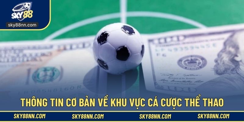 Thông tin cơ bản về khu vực cá cược thể thao